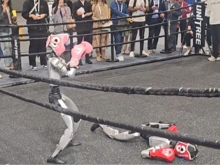 国豪喜报丨机器人拳击大赛冠军!